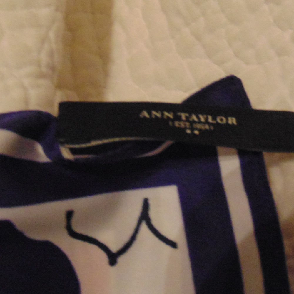 ANN TAYLOR SCARF - Picture 3 of 3